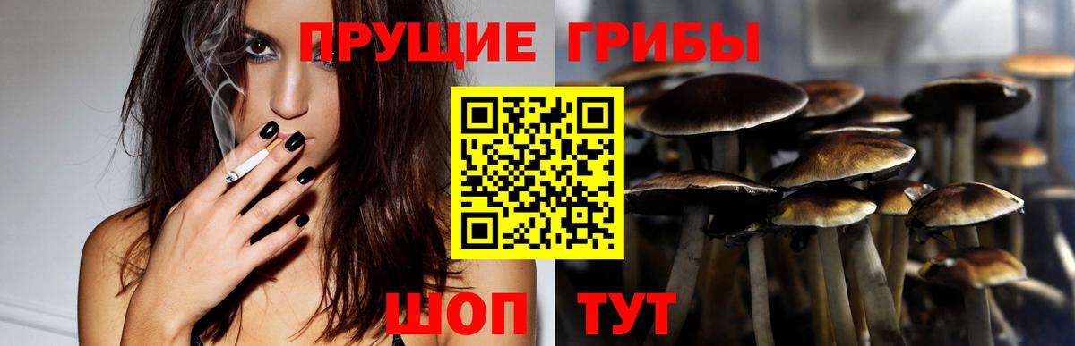 Галлюциногенные грибы прущие грибы  Псилоцибиновые грибы прущие грибы  Вход с VPN  Узловая 