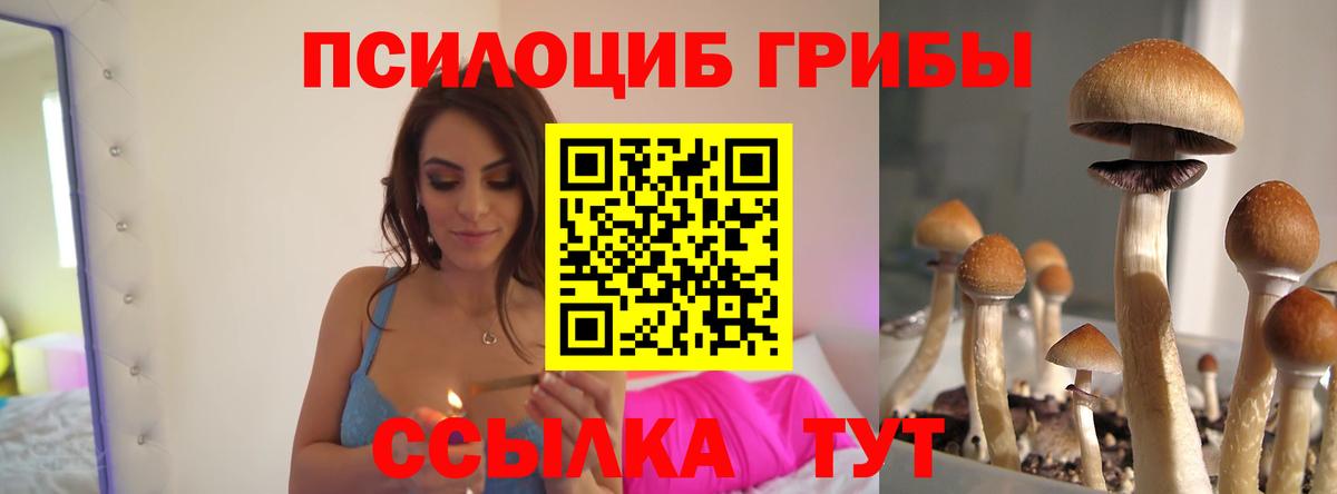 Галлюциногенные грибы прущие грибы Узловая